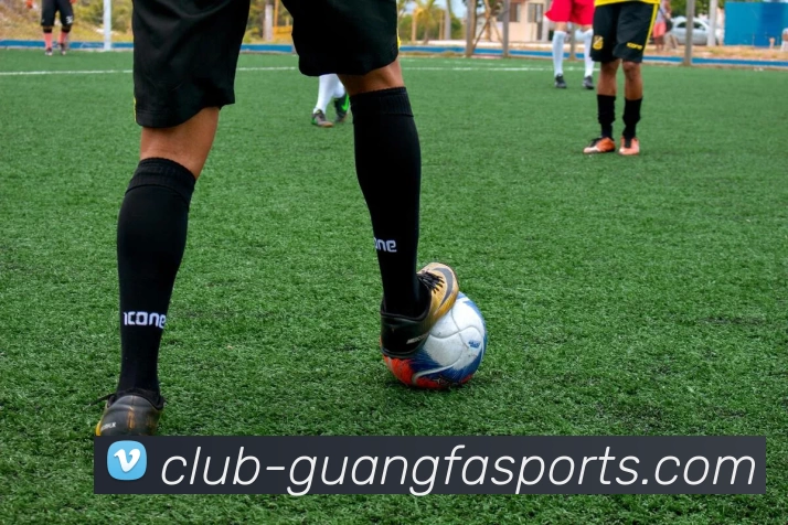 广发体育俱乐部平台生态图